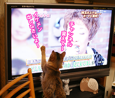 3580.昔のテレビ | お散歩大好き猫ブログ