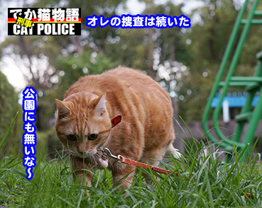 0950.jpg