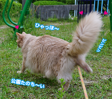 8054.jpg