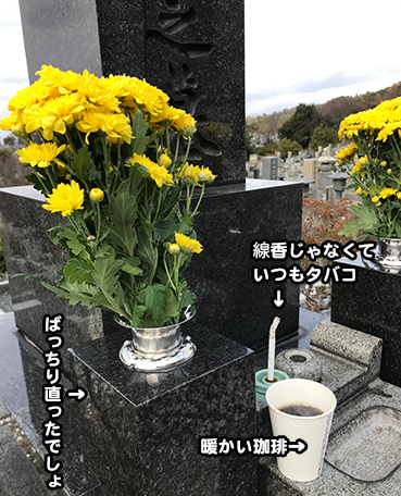 4298.jpg