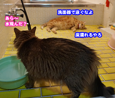 8966_1.jpg