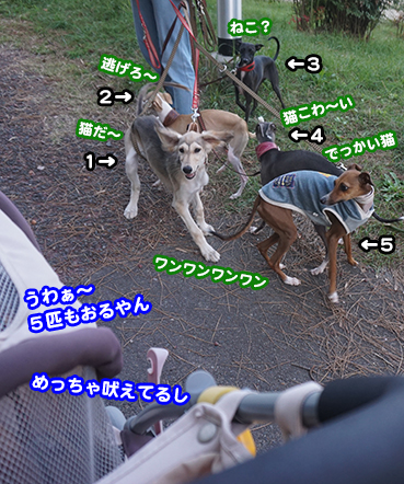 4800.jpg