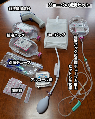 4585 自宅点滴 お散歩大好き猫ブログ