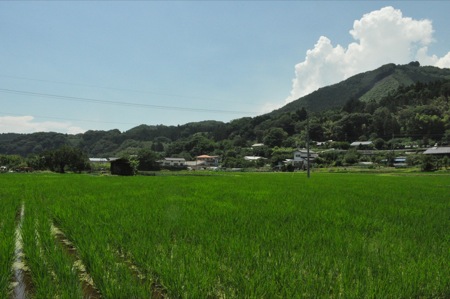 DSC_0014.JPG
