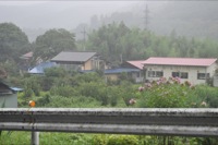 DSC_1167.JPG