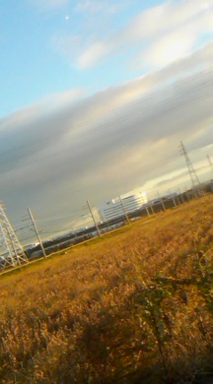 081120_0653~01.jpg