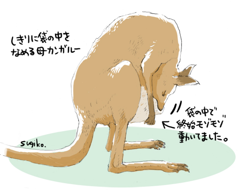 オオカンガルー
