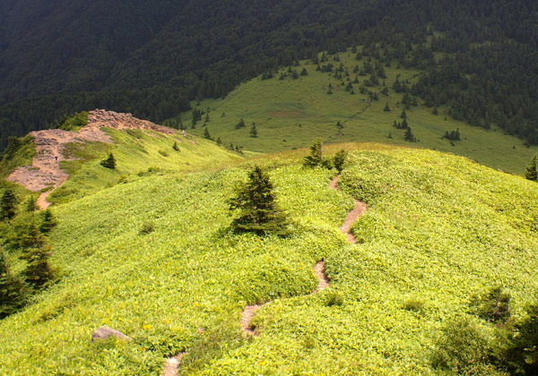 四阿山