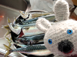 釣果