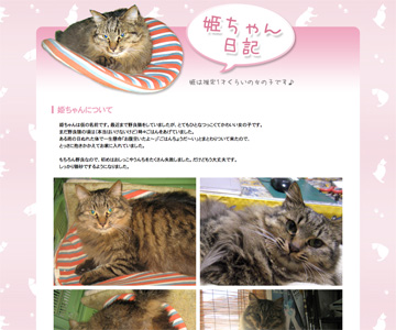 姫ちゃん日記