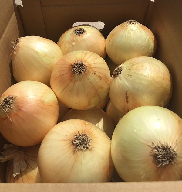新たま