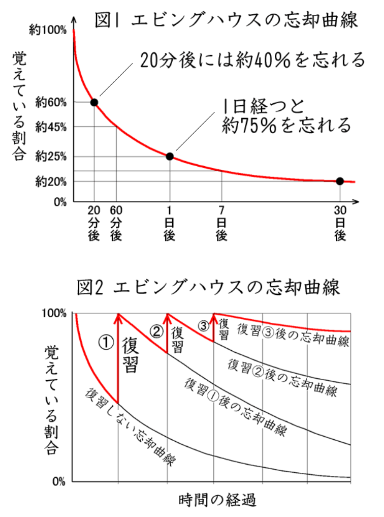 忘却曲線