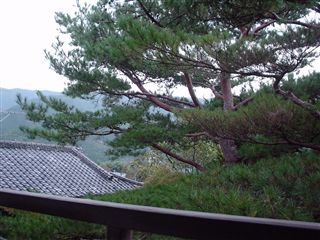 051029_そしてもう1枚。