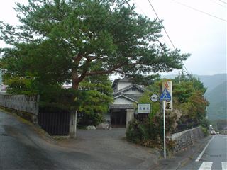 051029_大西屋さん入り口の大きな松ノ木。