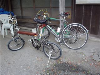 051029_まだお休み中。