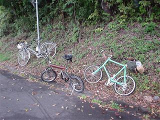 051029_登り始めるも直ぐにバテバテ。