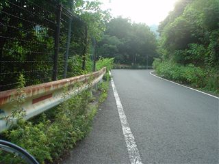 080705_十三峠(途中)足着きポイント。