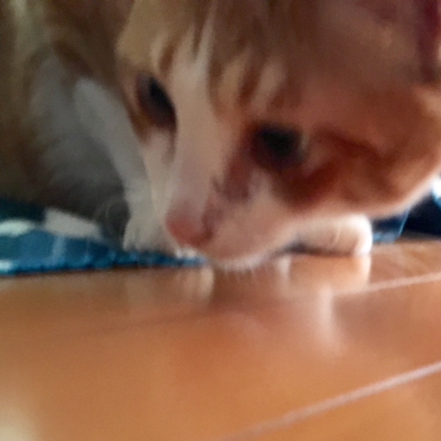 image1.jpeg