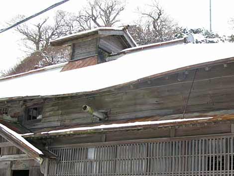 茨木家中出張番屋正面大屋根破損部分