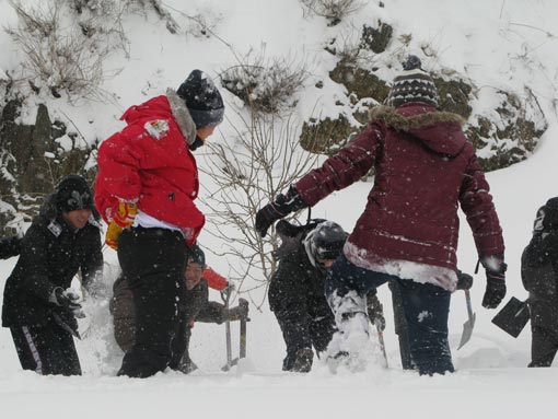 雪を