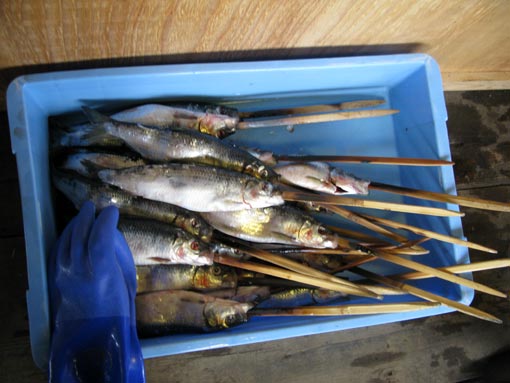 串刺しのニシンが持ち込まれて