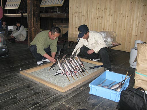 囲炉裏に串刺しのニシンを
