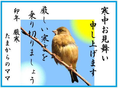寒中お見舞い