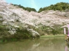 奥山公園