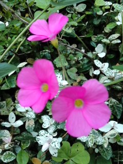 mini_161002_1311.jpg