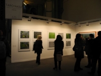 paris photo-4