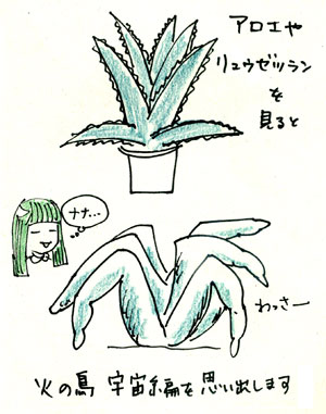 アロエ