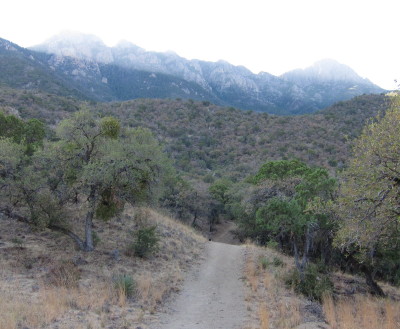 Madera Canyon