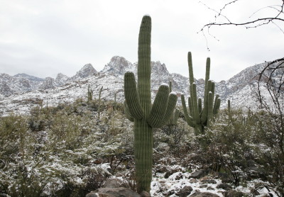 Pusch Ridge Mt. Trail