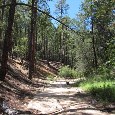 Bear Canyon