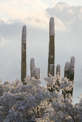 雪景色 2