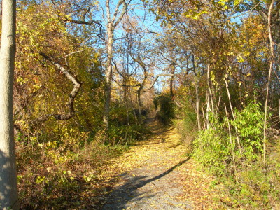 South Garden Trail