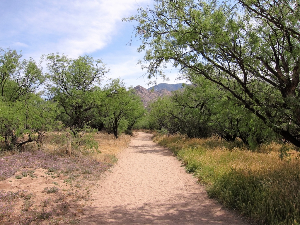 Sutherland Trail