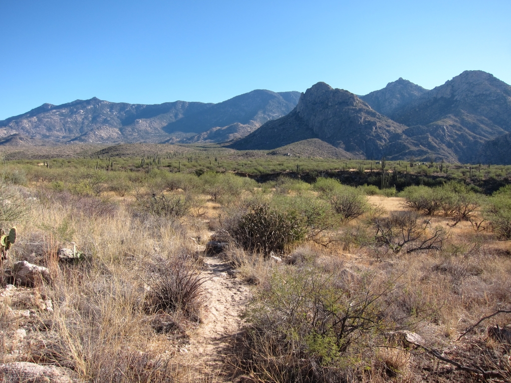 Catalina State Park
