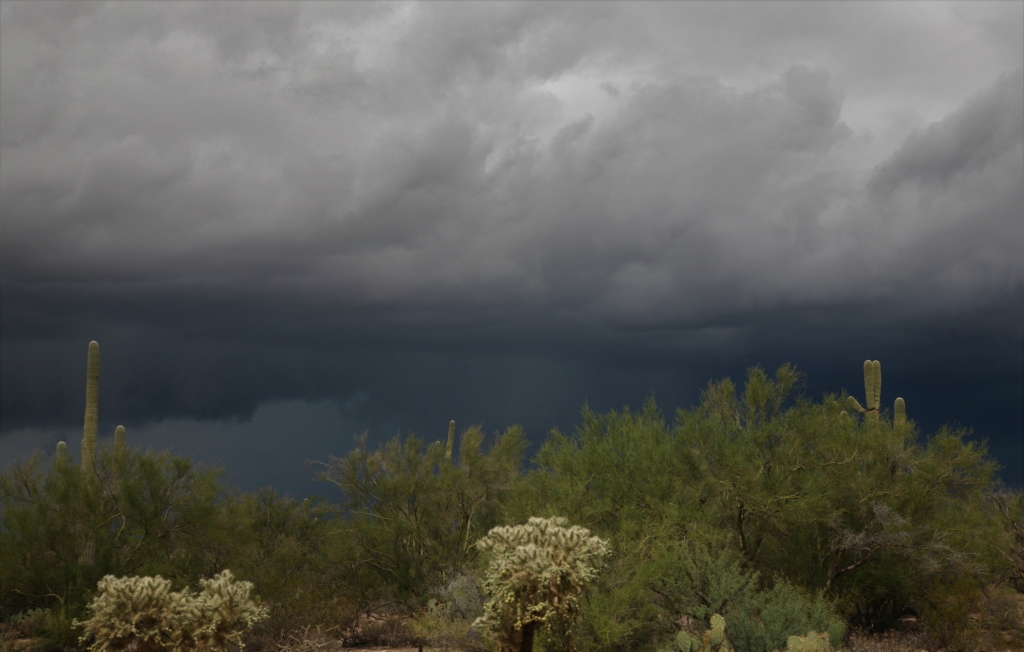 空一面の雷雲