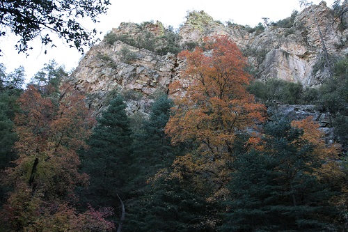 Ramsey Canyon 岩壁と紅葉
