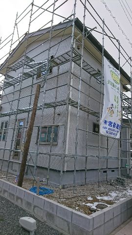 1517845222239.jpg