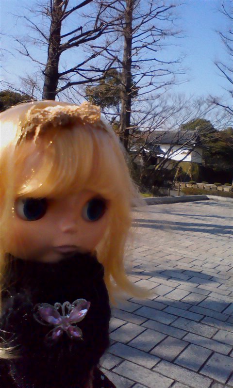 110328_1506~01.jpg