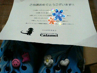 200805300024000.jpg