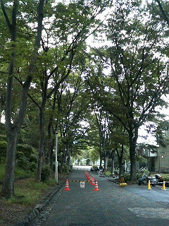 P1000980.jpg