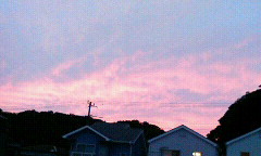 200806151911000.jpg