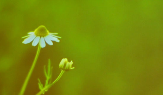 DSCN0744.jpg
