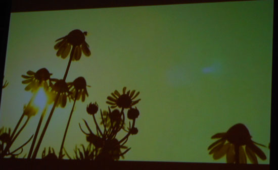 DSCN0745.jpg