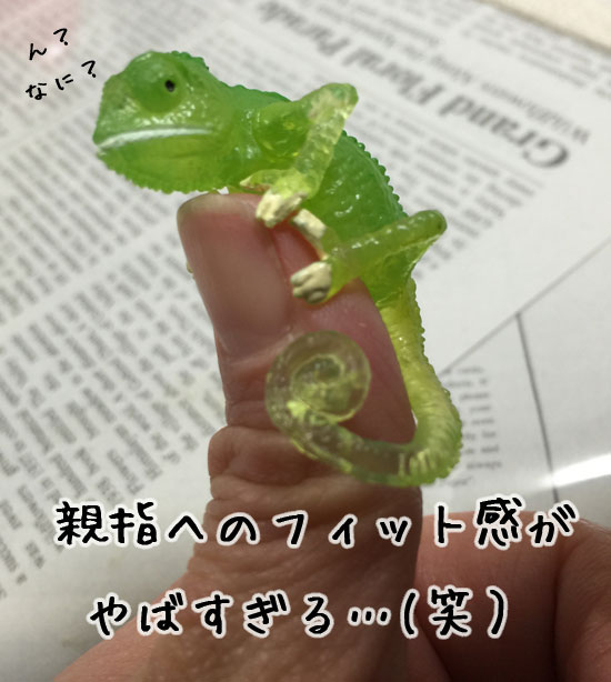 ちんまりカメレオン