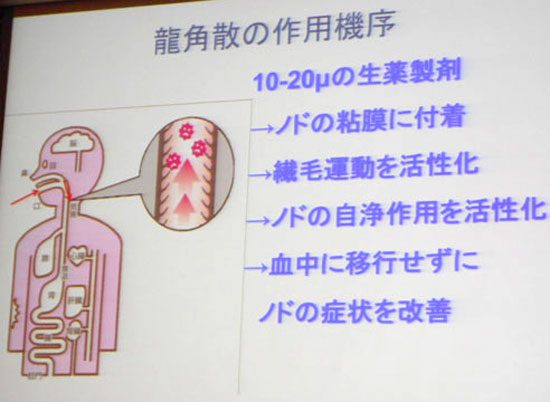 DSCN0753.jpg