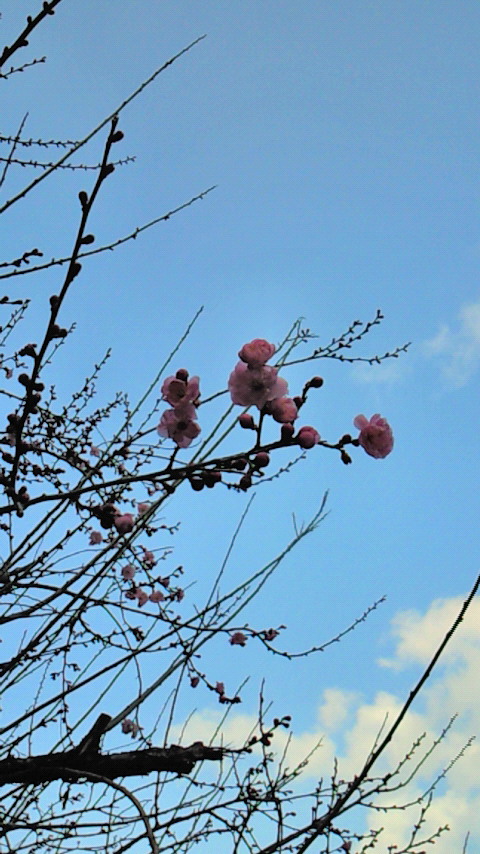 200903141717001.jpg